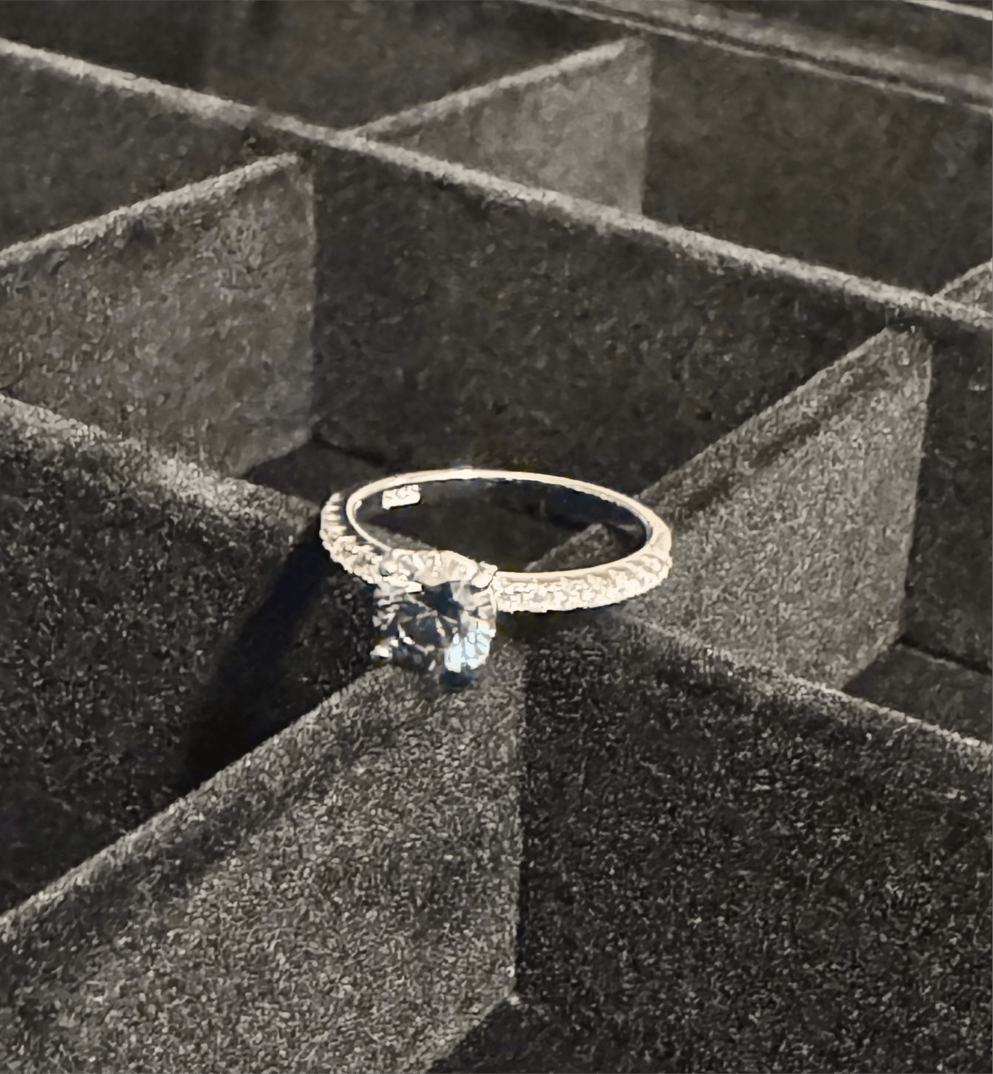 Colorful Rings 1ct Moissanite - J.Resilience